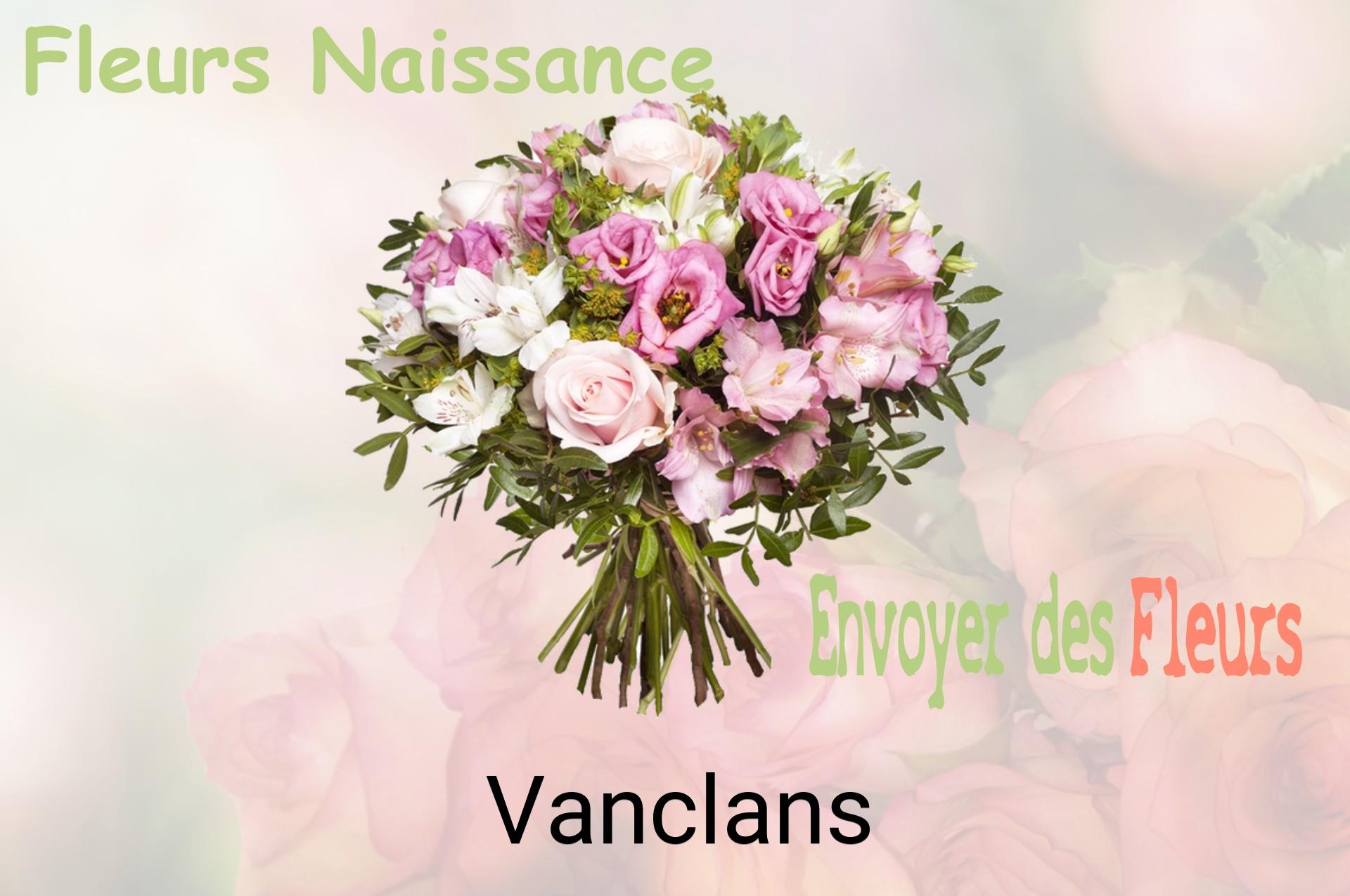Bouquet de fleurs de naissance livré à Vanclans